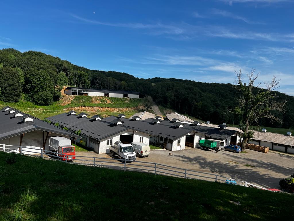 Foto: Smederevo Uživo