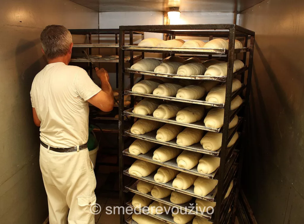 nova_uredba_o_ceni_hleba_vesti_2023 (1)