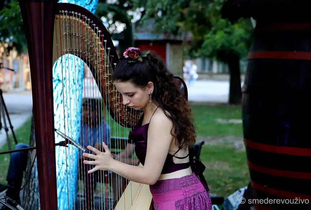 fotografija_dana_vinski_grad_fotografija_fotografije_smederevo_nenead_pavlovic